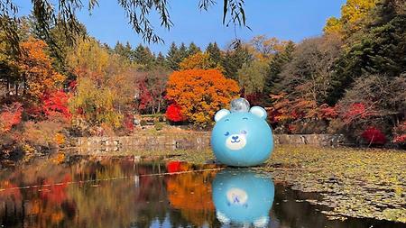 춘천캠퍼스 가을전경1